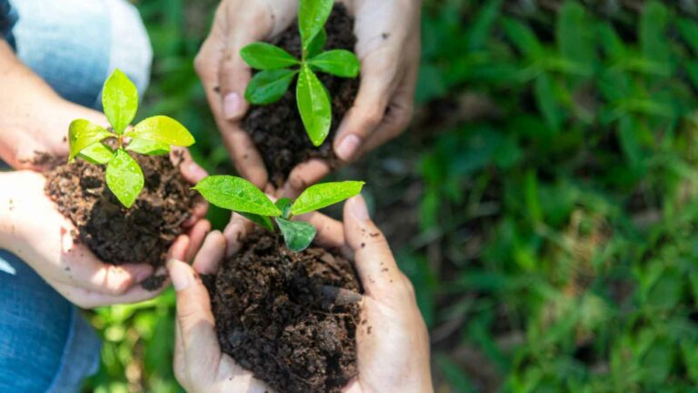 Des solutions pour la biodiversité