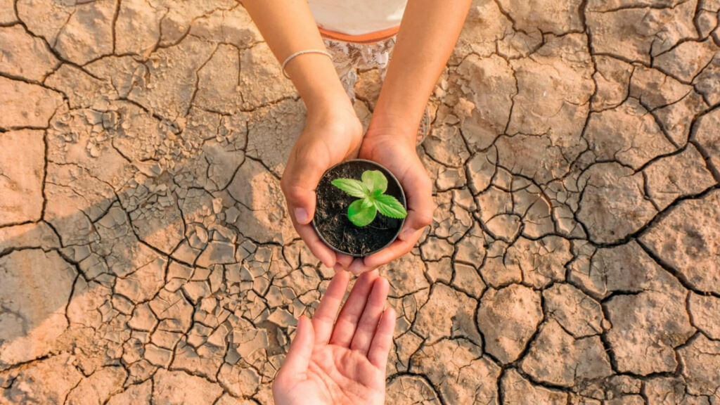 Des solutions contre le dérèglement climatique