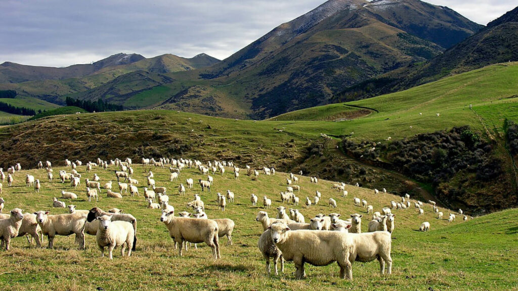 Le scandale des « Folies Béarnaises »