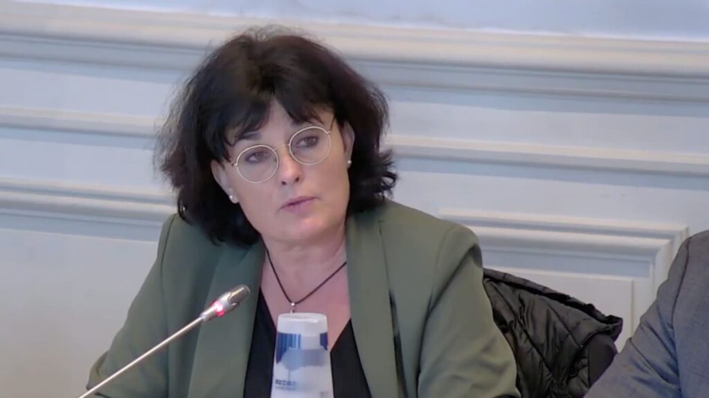 Les CAUE menacés : un service public en péril