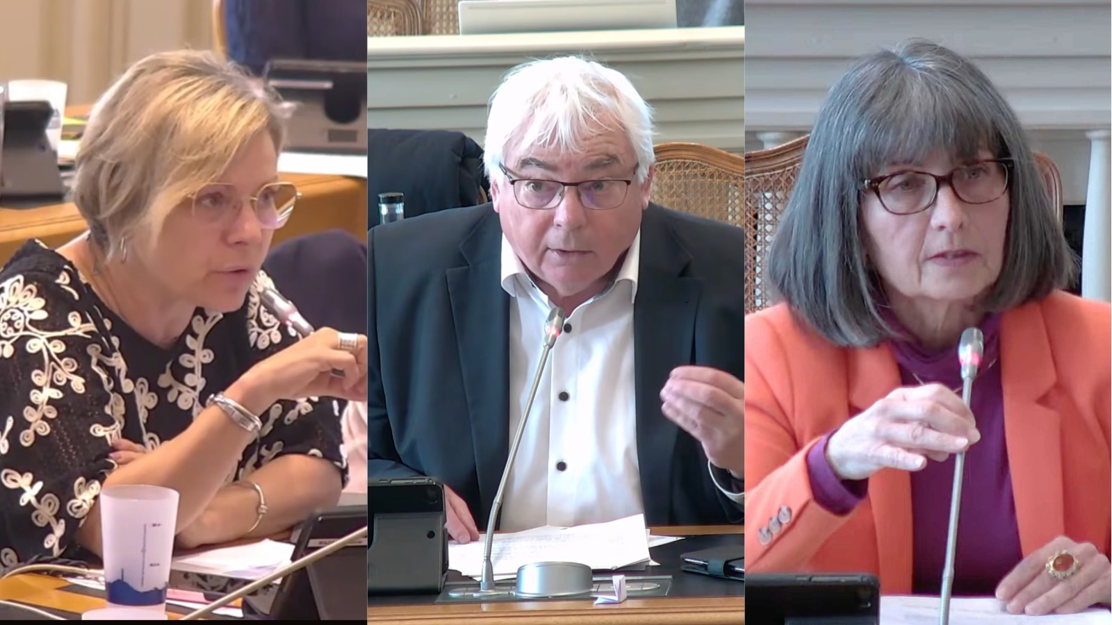 Stéphanie MAZA, Yves SALAVE-PÉHÉ et Véronique DEHOS